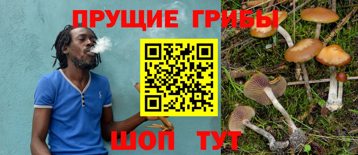 Псилоцибиновые грибы Magic Shrooms Новый Уренгой