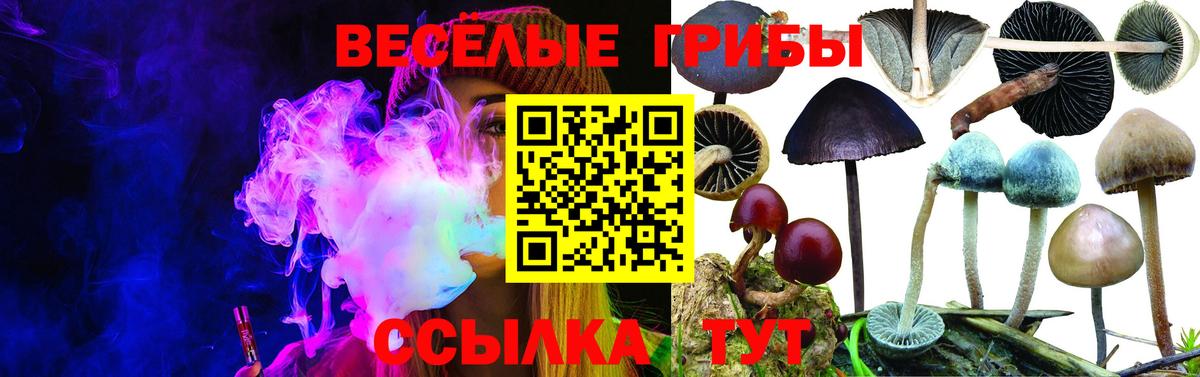 Псилоцибиновые грибы мухоморы  Вход с VPN  Новый Уренгой 